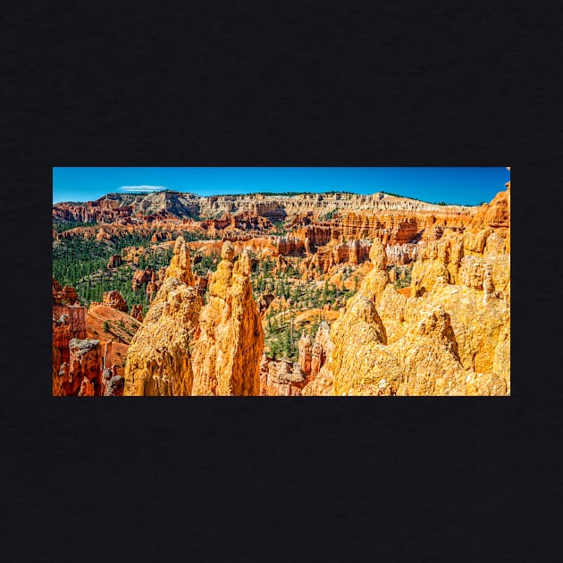 Bryce Canyon National Park by Gestalt Imagery